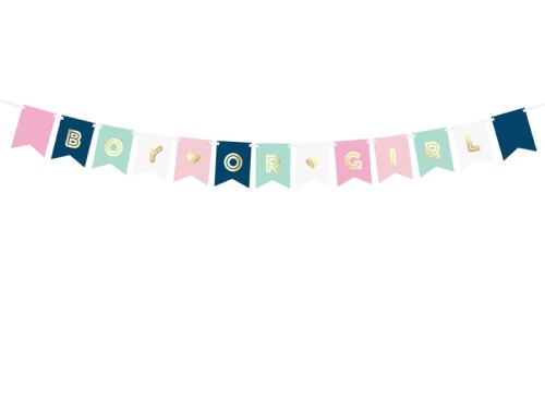 baner napis boy or girl